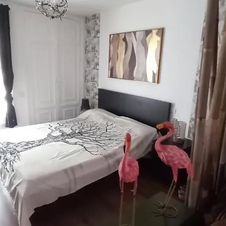 Marezia 코라레호