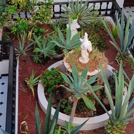 Marezia 코라레호