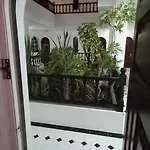 Marezia * コラレホ